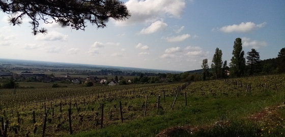 Montée sur les coteaux