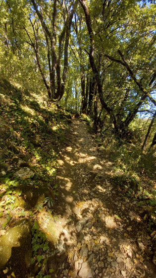 montée sur loubressac