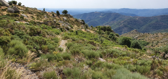 Montée vers Gourdouze