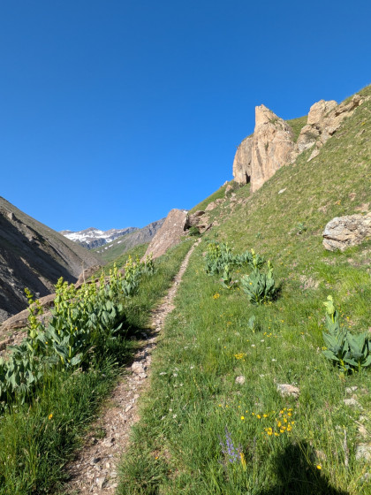 Montée vers l\'alpage
