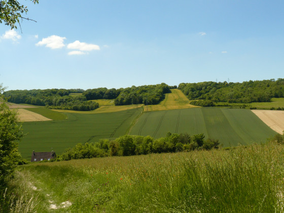 Montée vers la chapelle en ruine