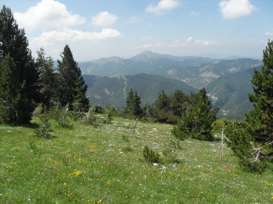 Montée vers la falaise