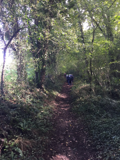 Montée vers la forêt
