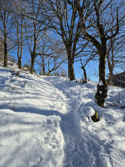 Montée vers la Piquante Pierre