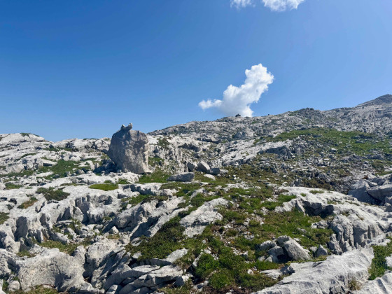 Montée vers la Pointe des Carmélites