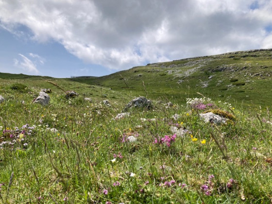 montée vers la porte d\'Urle