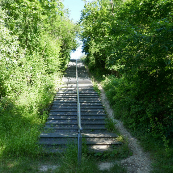 Montée vers le belvédère