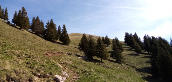 Montée vers le Col de Parchet