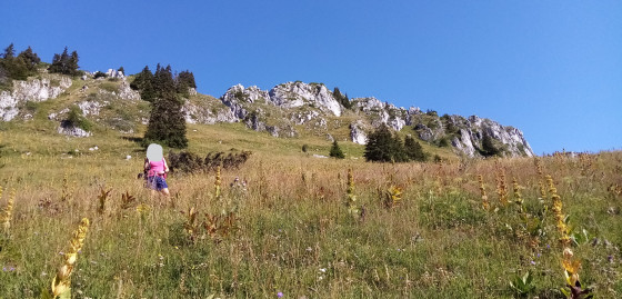 Montée vers le couloir rocheux