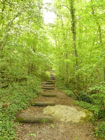 Montée vers le dolmen
