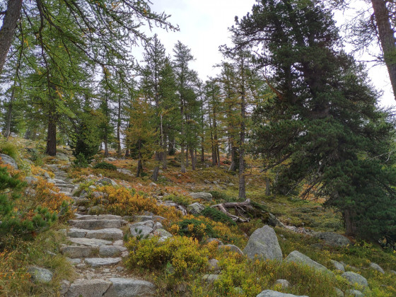 Montée vers le Lac Nègre