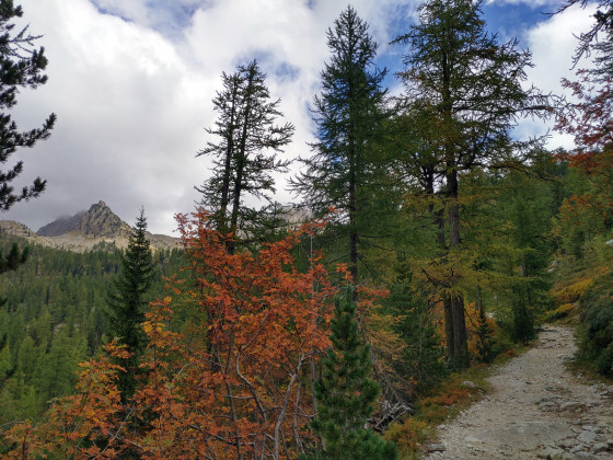Montée vers le Lac Nègre