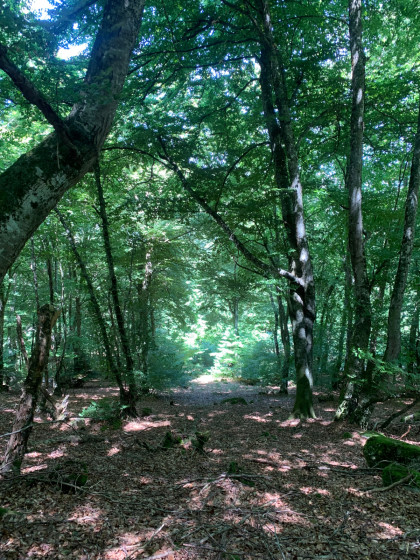 Mont&eacute;e vers le Pic de Gez