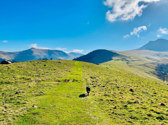 Mont&eacute;e vers le Roc des Ombres