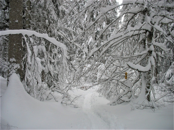 Mont&eacute;e vers Pr&eacute; d'haut