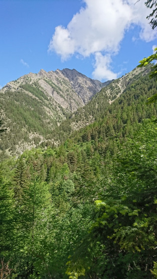 Montée vers Risoul