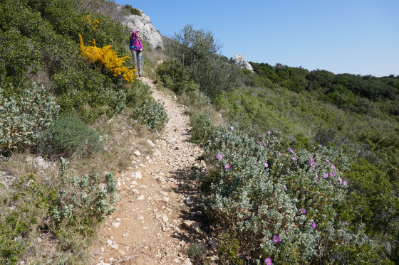 Montée vers Saint-Bonnet du Gard