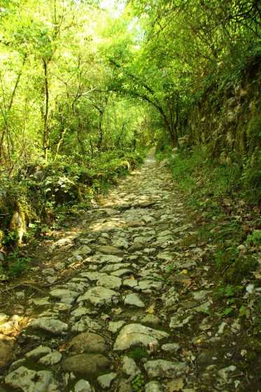 Montée