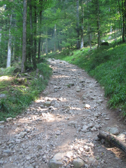 Montée