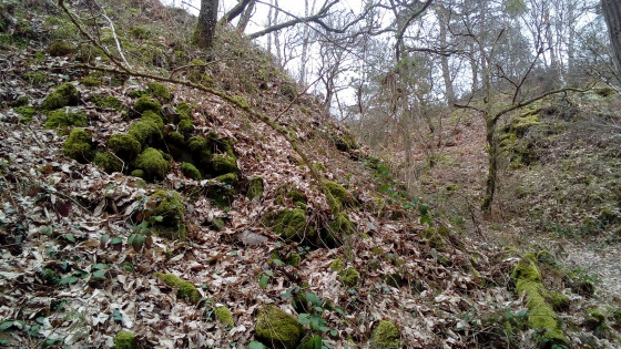 Monticules