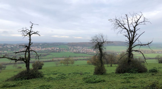 Montigny les Vesoul
