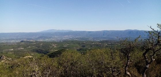 Monts de Vaucluse