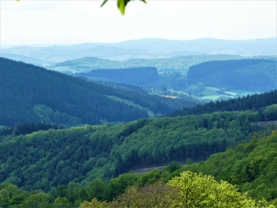 The Mont Preneley circular route between Glux-en-Glenne and Rangère - Walk