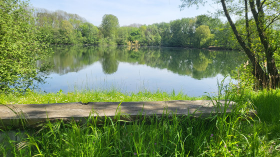 Lac Moor