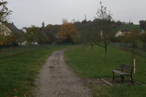 Morsbronn les Bains - Allée piétonnière