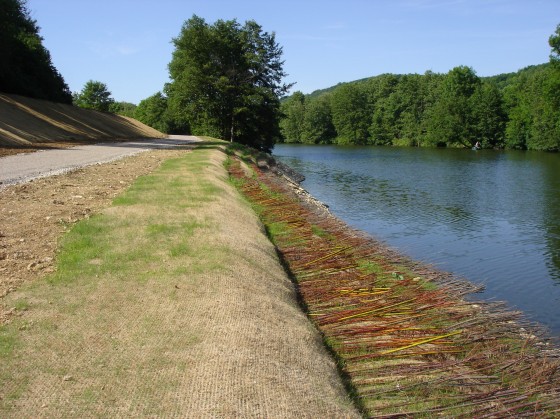 Berges de la Moselle