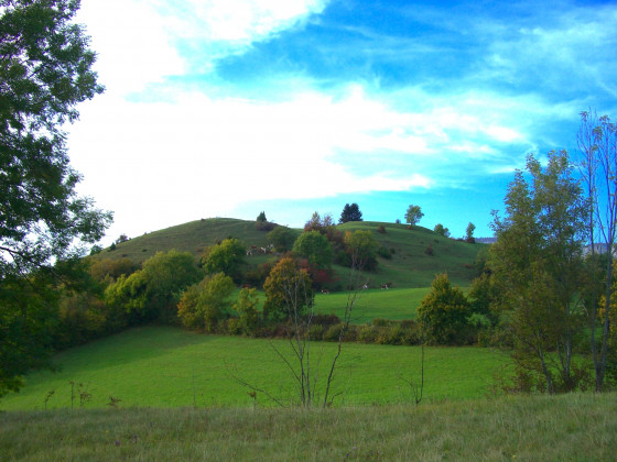 Motte Castrale de la Bognette