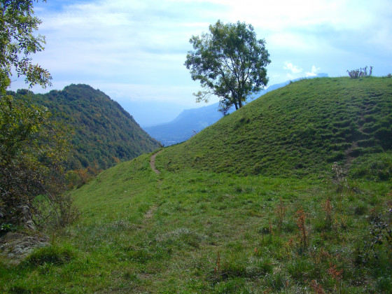 Motte Castrale de la Bognette