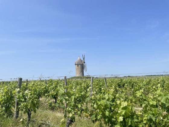 Moulin de Lescours
