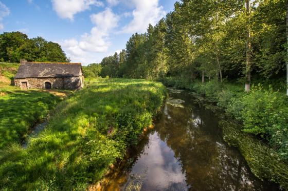 Moulin des Essarts