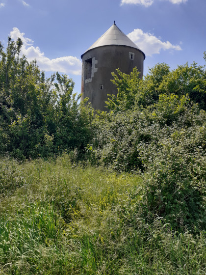 Moulin