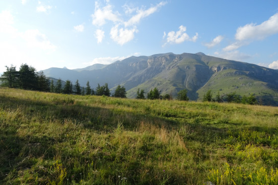 Mounier