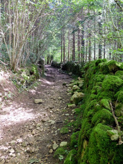 Mouthiers : Les murgés