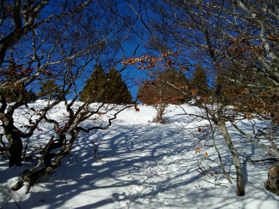 Mt Ventoux