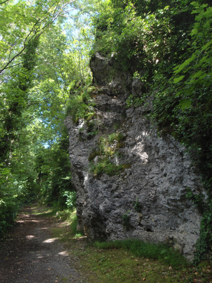 muraille d'escalade