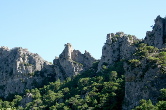 Murailles festonnées