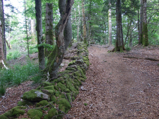 Muret frontière