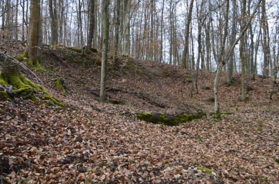 N°3 Position d\'artillerie de Tagolsheim poste de tir