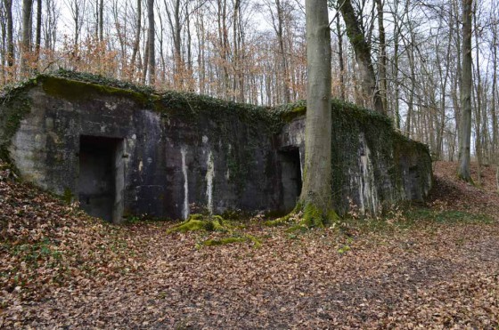 N° 3 Position d\'artillerie de Tagolsheim