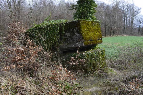 N°4 Observatoires d\'artillerie de Tagolsheim bétonné