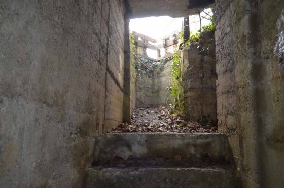 N°4 Observatoires d\'artillerie de Tagolsheim intérieur