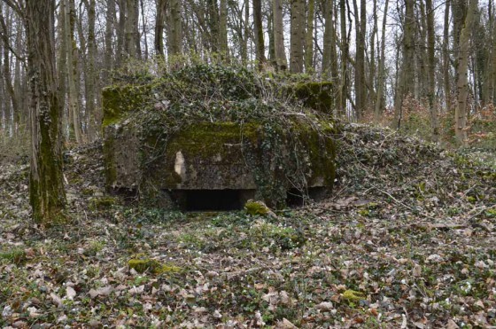 N°6 Observatoire d\'artillerie de Heidwiller