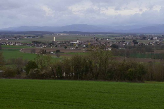 N°6 Observatoire d'artillerie de Heidwiller Vue sur le village de Spechbach-le-Bas