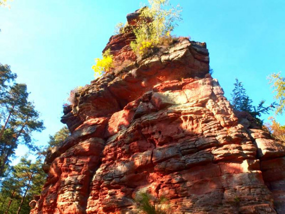 Napoleonsteig