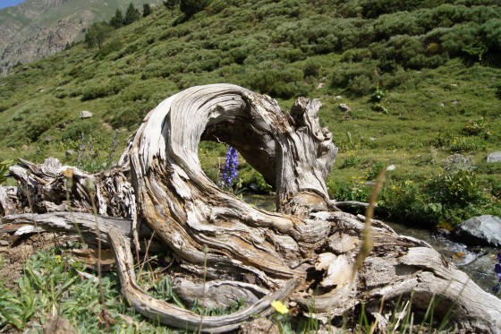 Vallée d\'EYNE