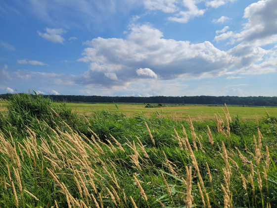 Naturschutzgebiet Conventer See